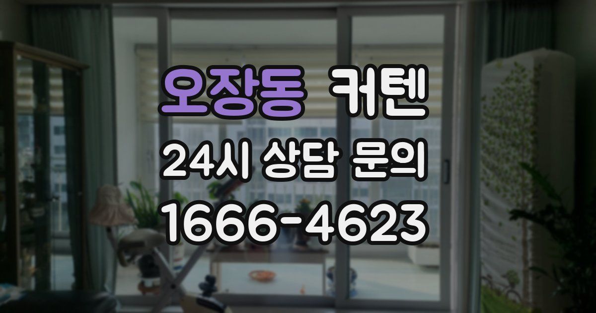 오장동 커텐