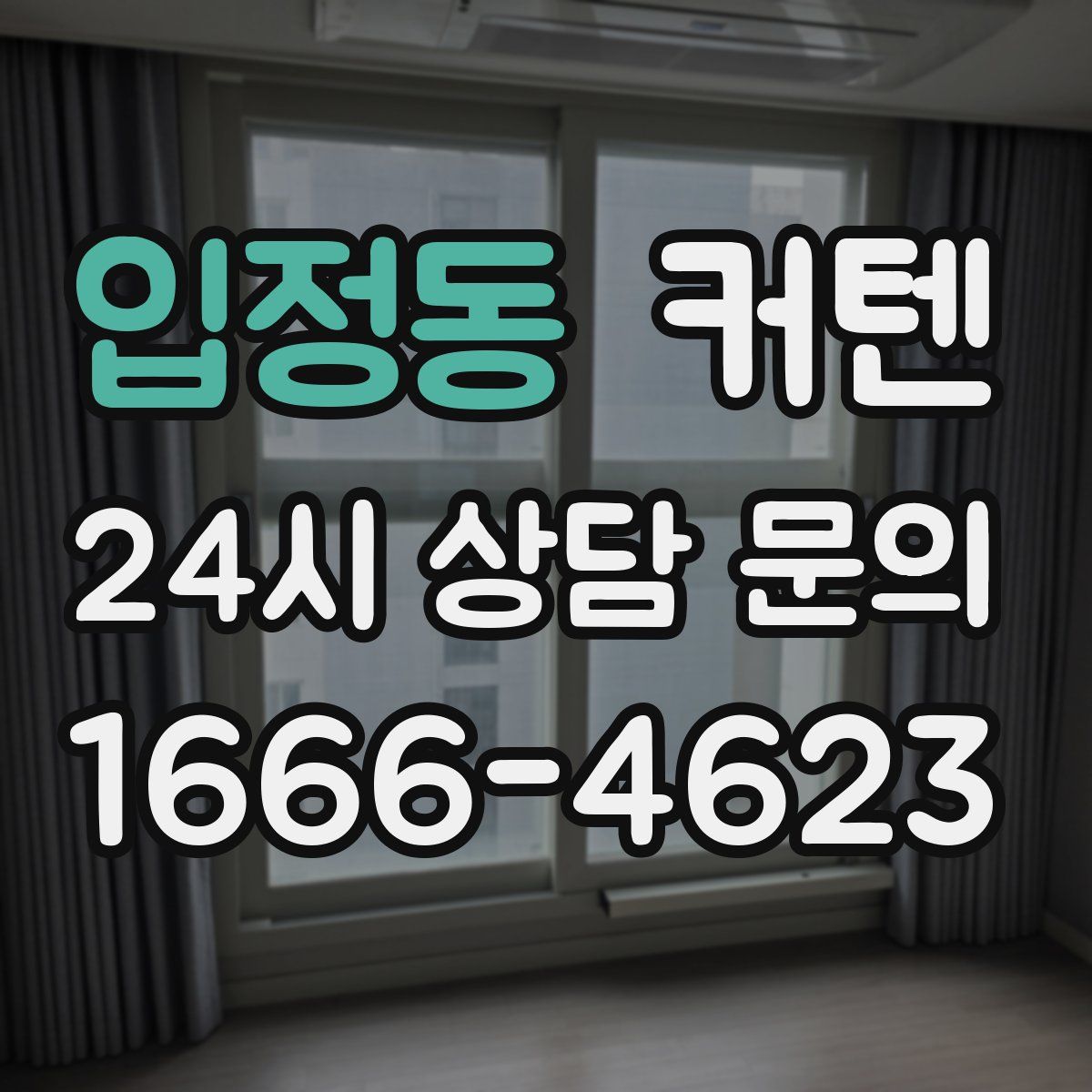 입정동 커텐