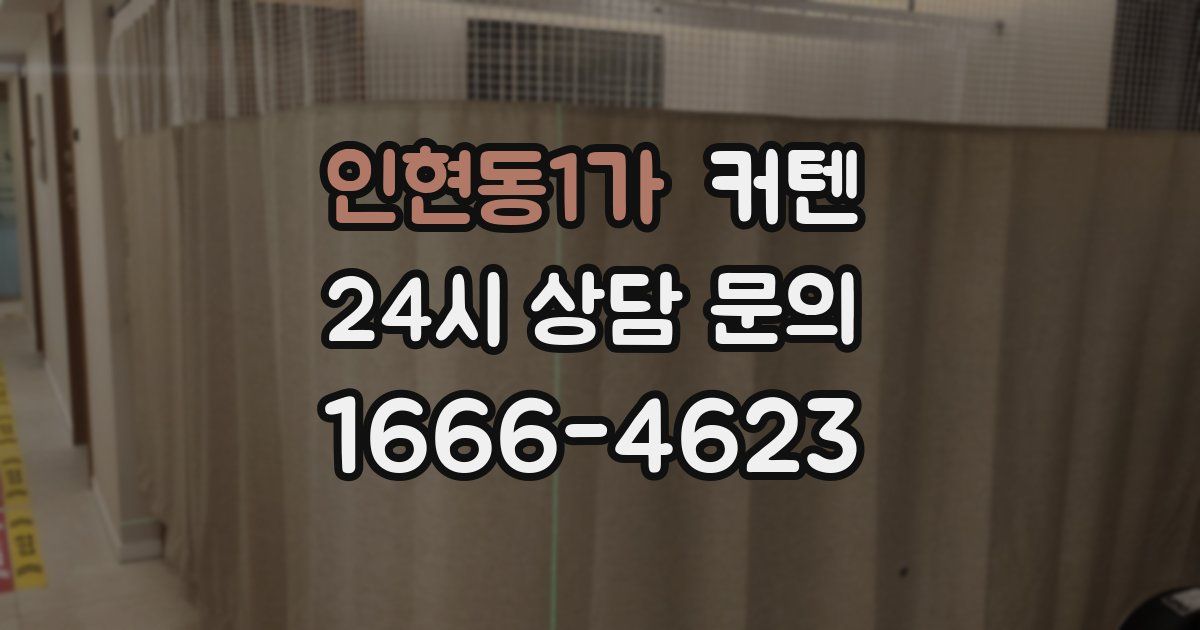 인현동1가 커텐