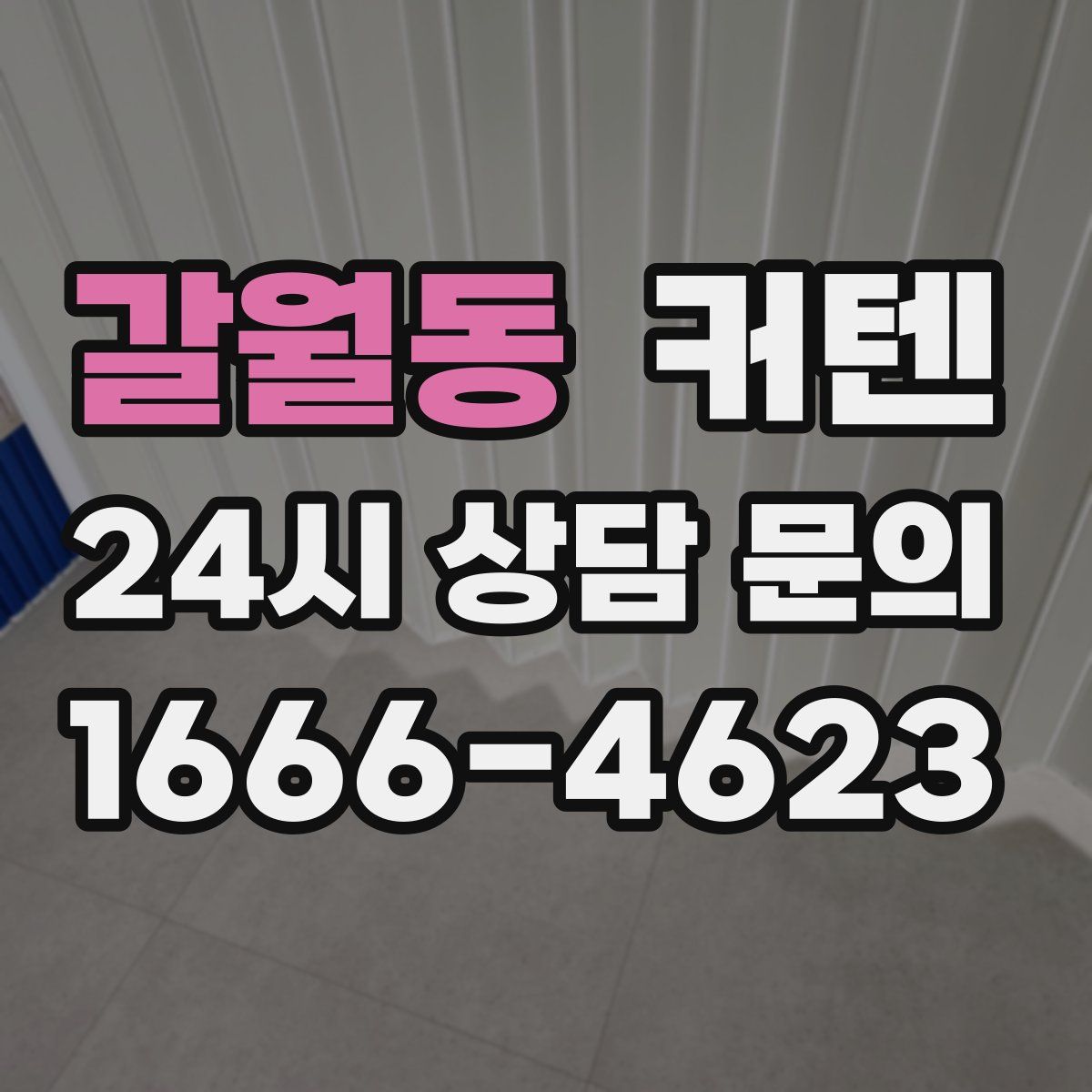갈월동 커텐