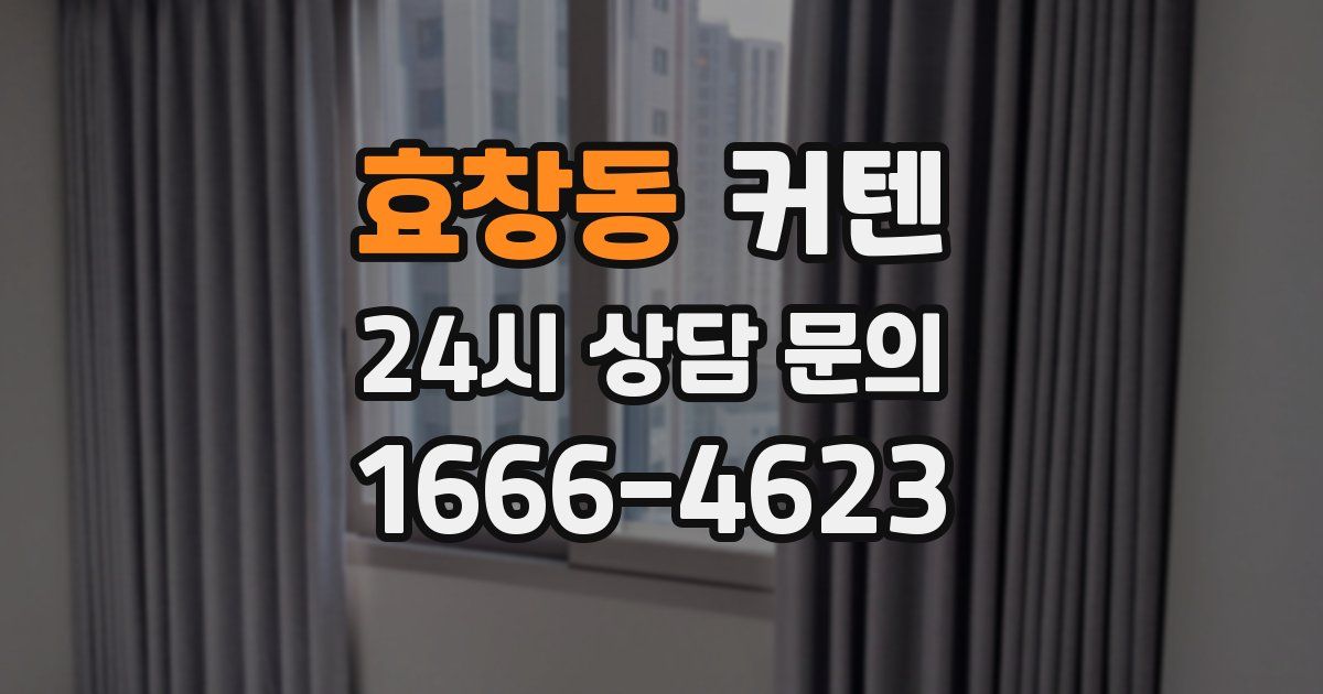 효창동 커텐