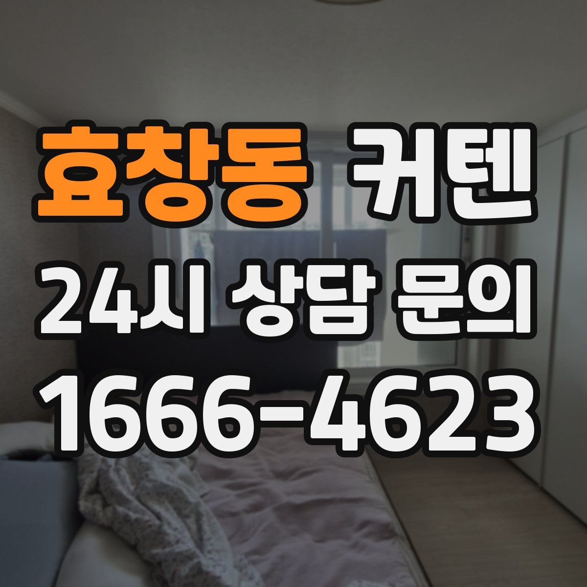 효창동 커텐