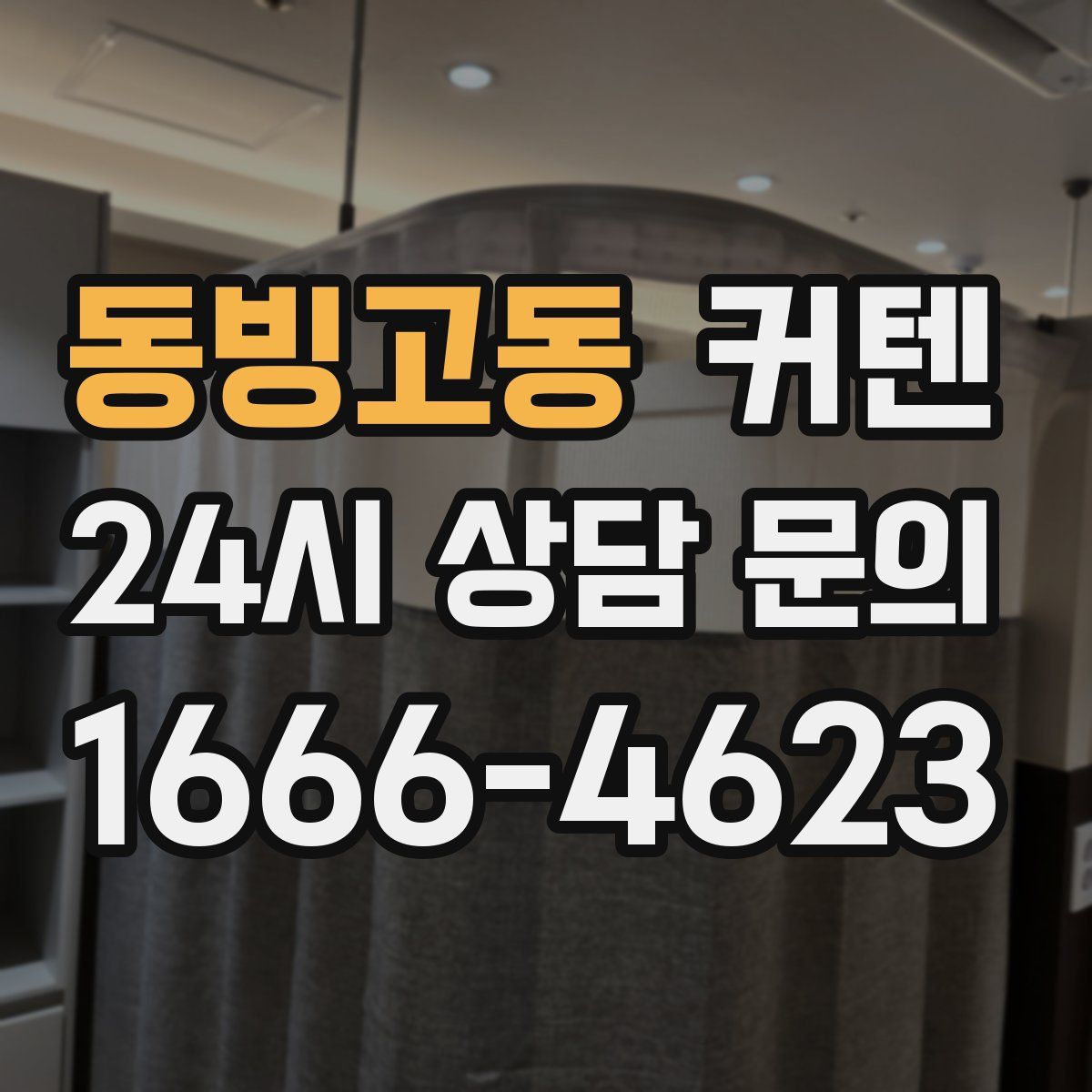 동빙고동 커텐