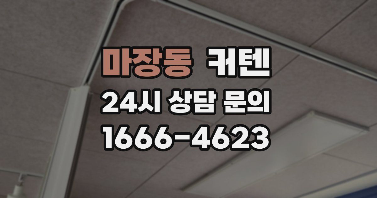 마장동 커텐