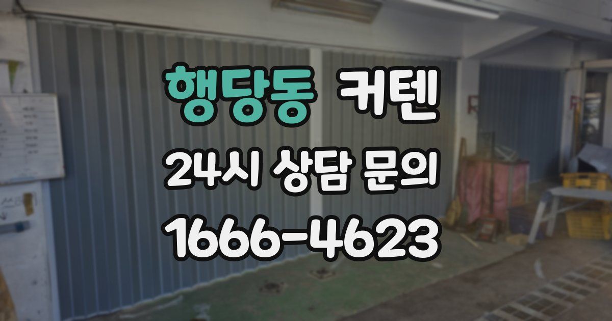 행당동 커텐