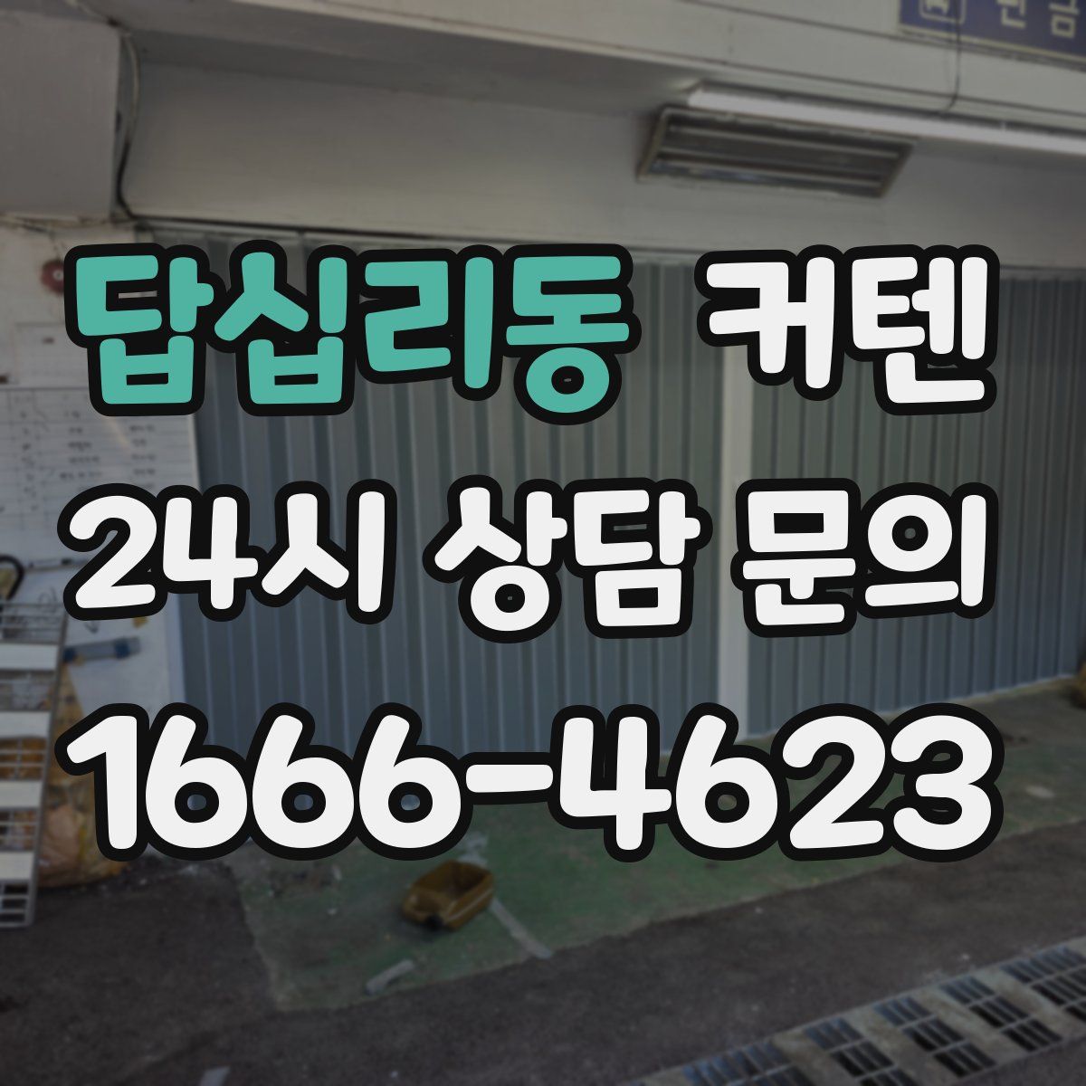 답십리동 커텐