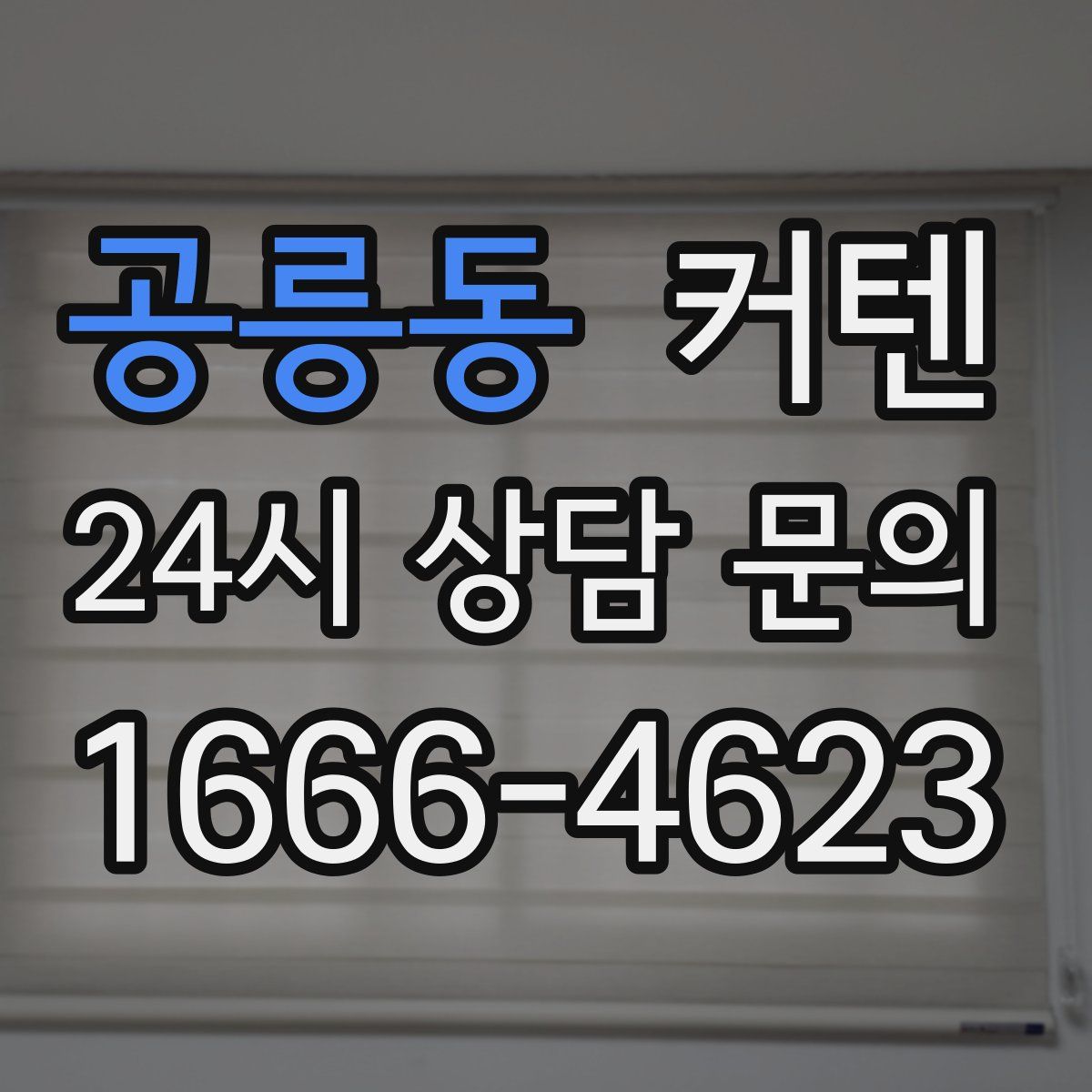 공릉동 커텐