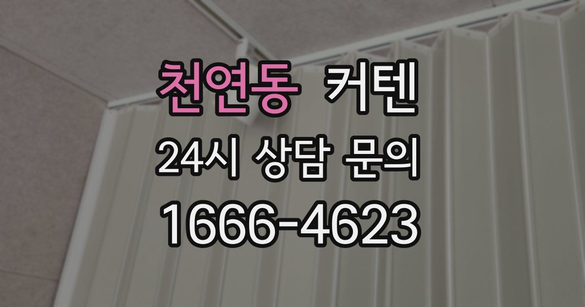천연동 커텐