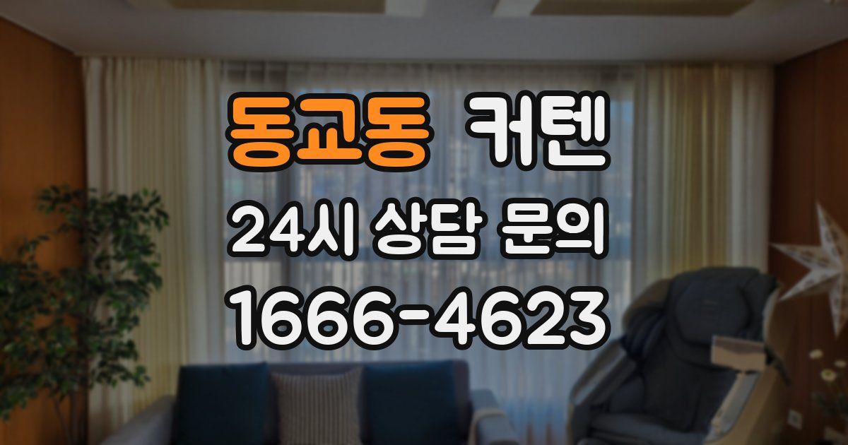 동교동 커텐