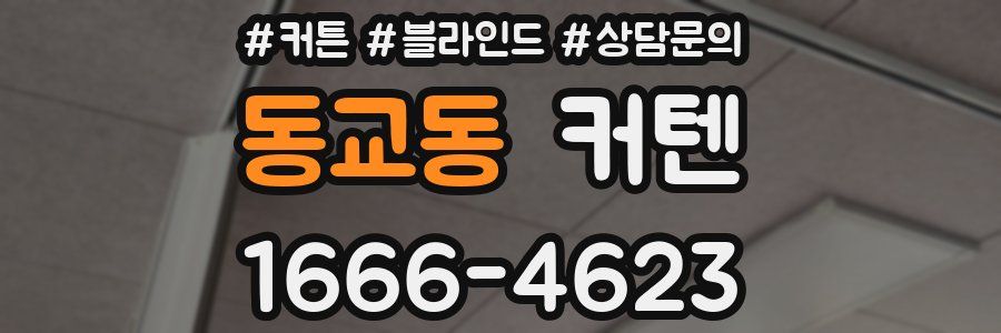 동교동 커텐