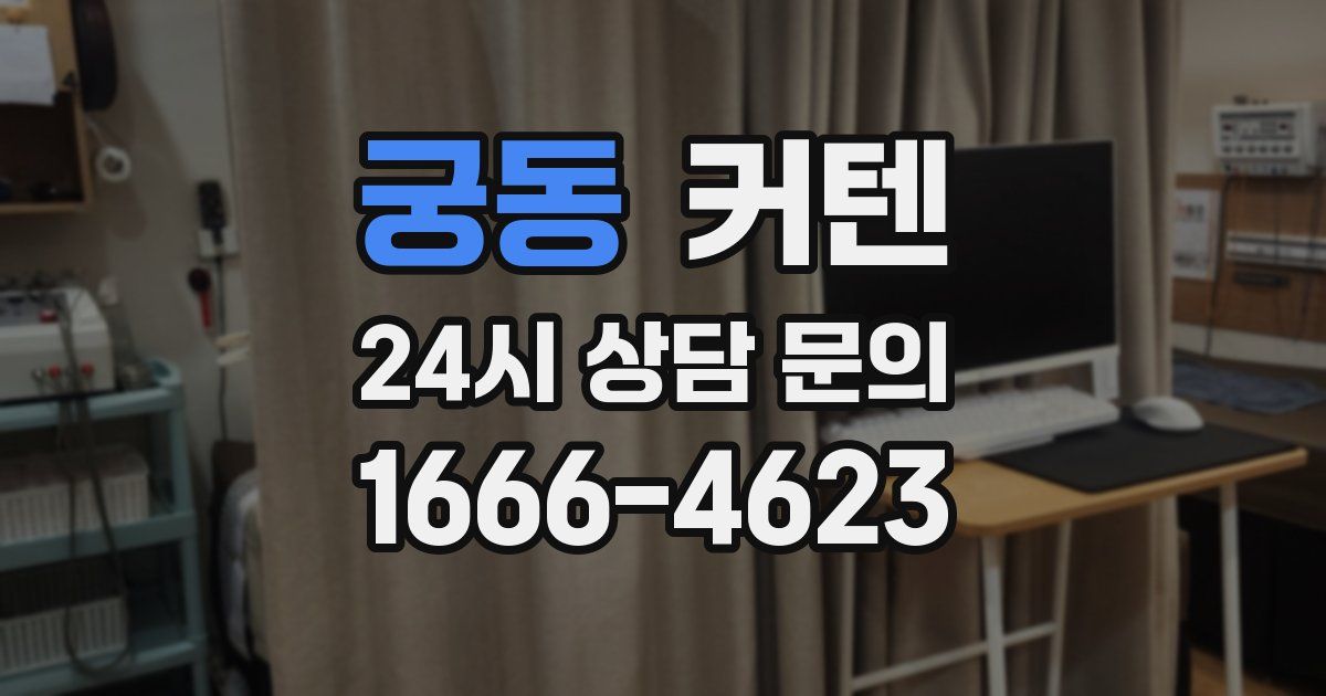 궁동 커텐