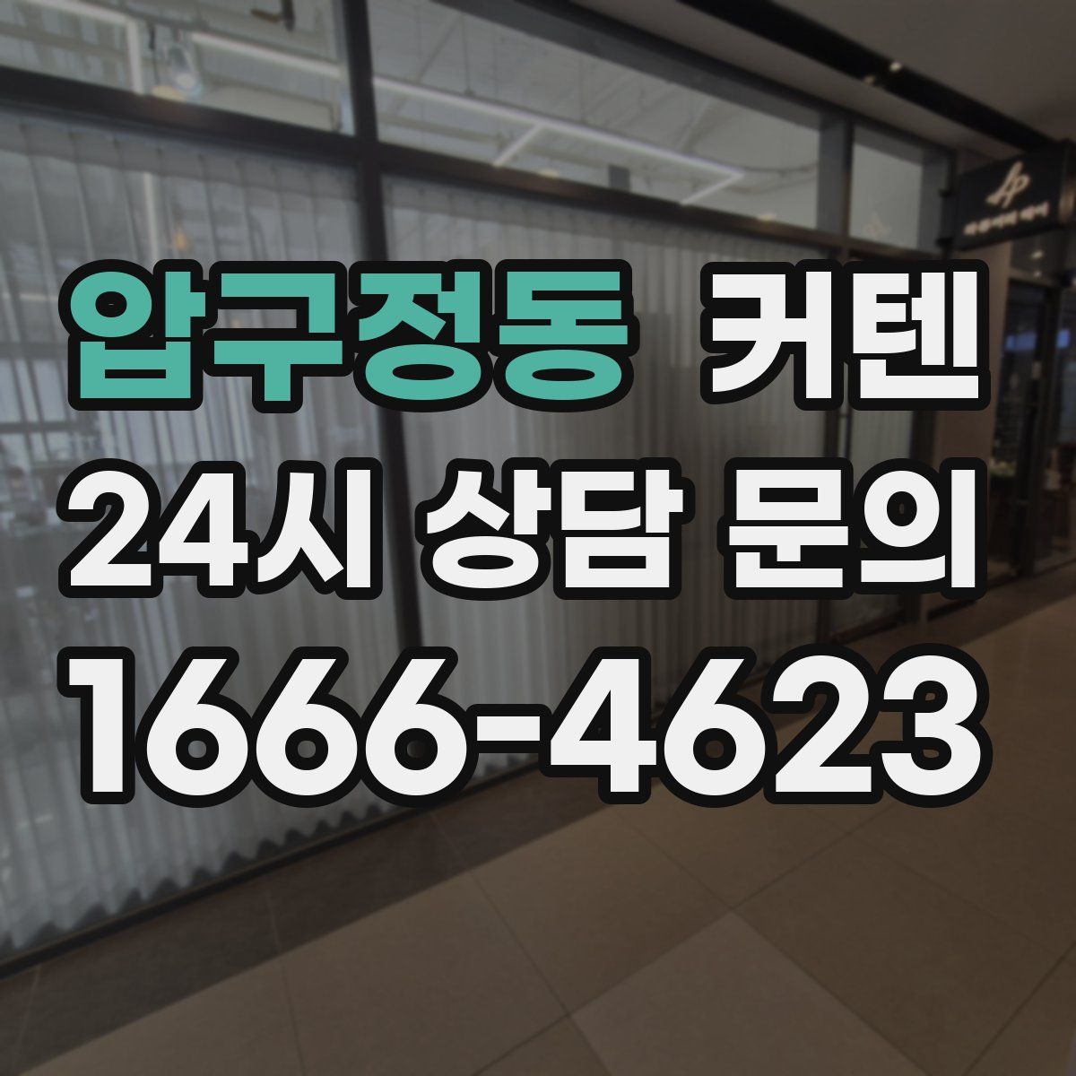 압구정동 커텐