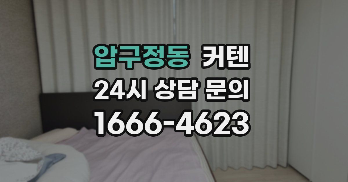 압구정동 커텐