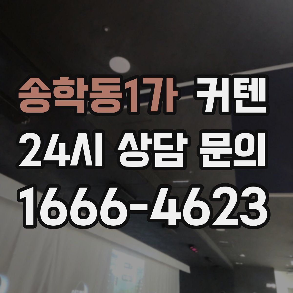 송학동1가 커텐