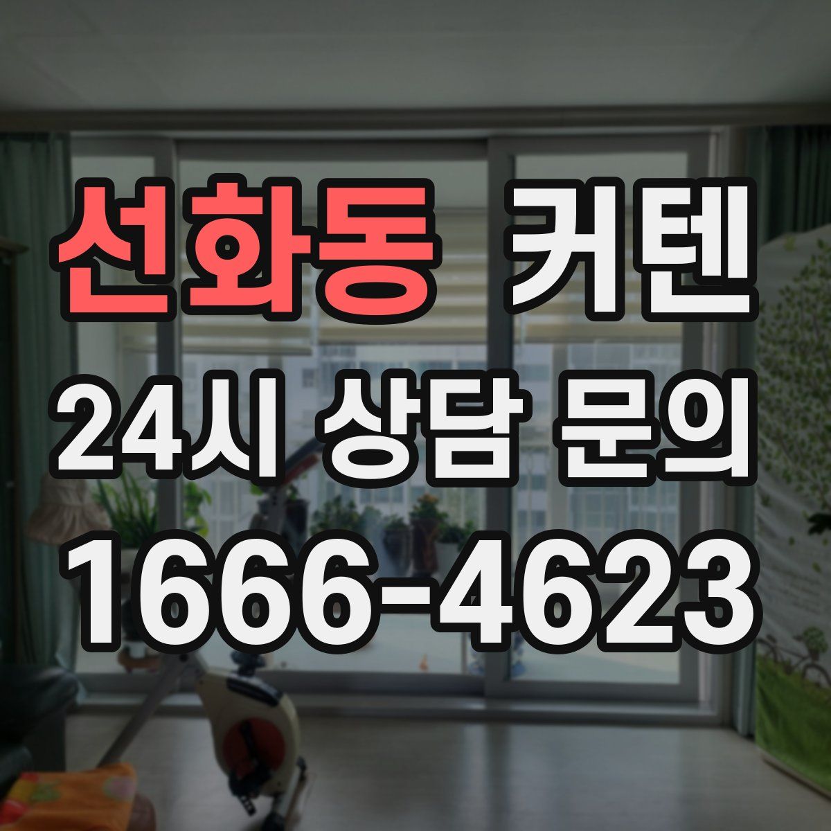 선화동 커텐