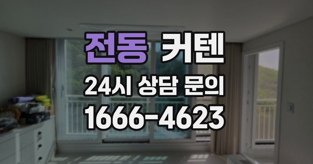 전동 커텐