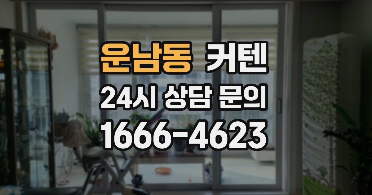 운남동 커텐