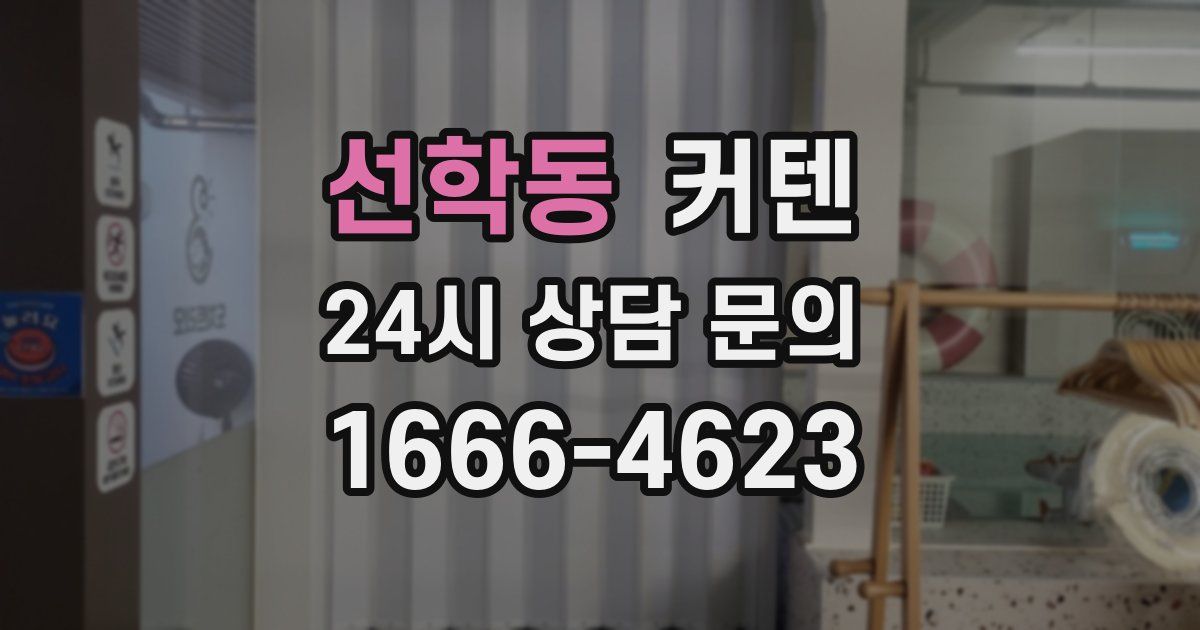 선학동 커텐