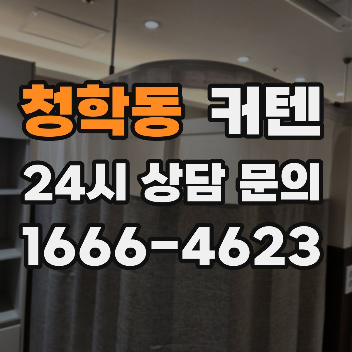 청학동 커텐