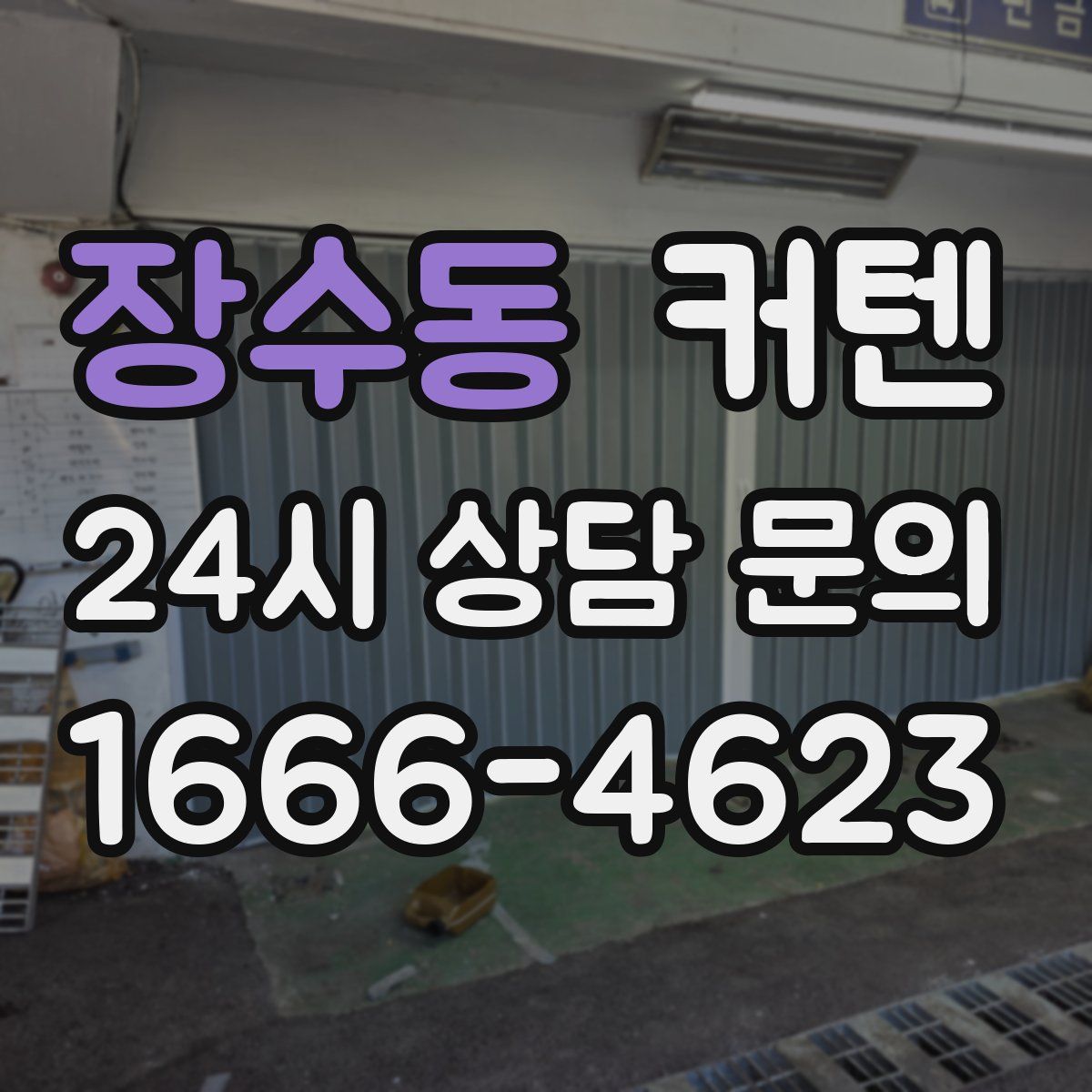 장수동 커텐