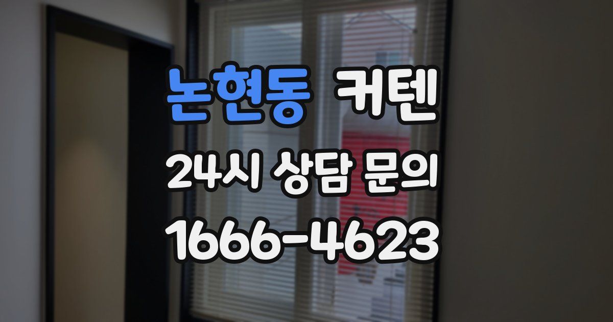 논현동 커텐