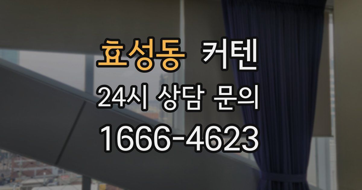 효성동 커텐