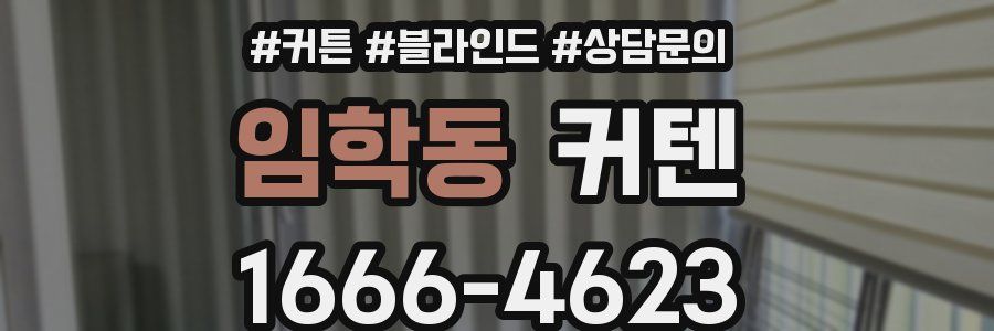 임학동 커텐