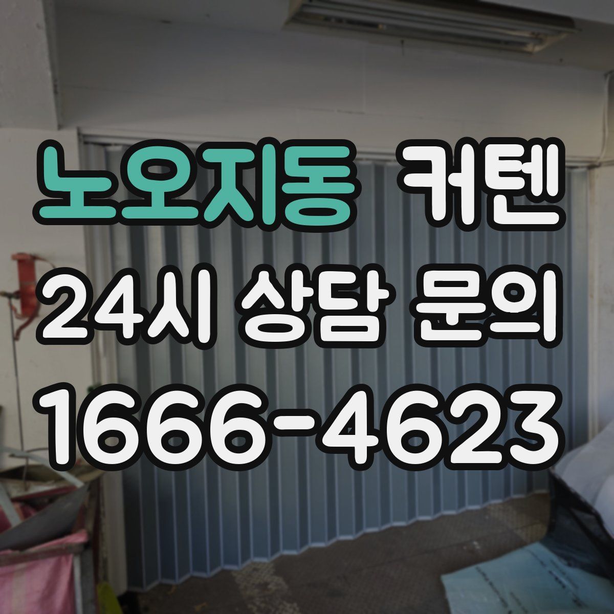노오지동 커텐
