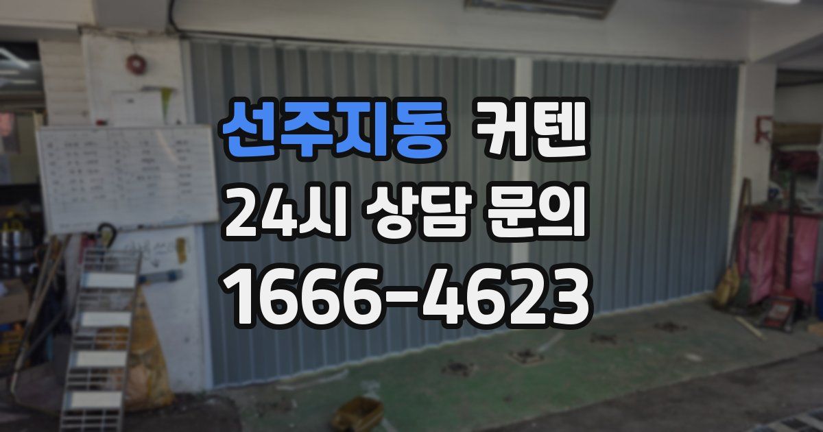 선주지동 커텐