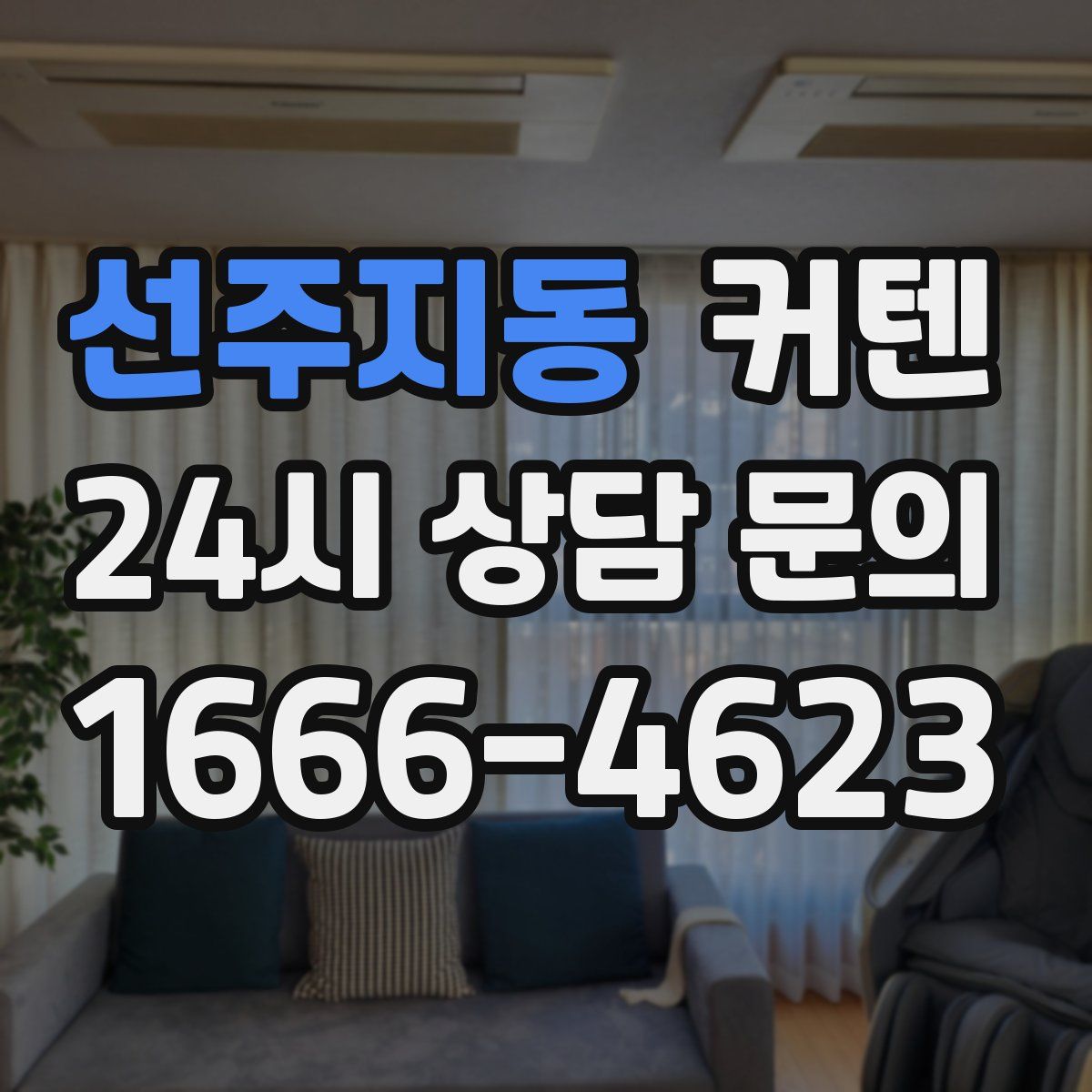 선주지동 커텐