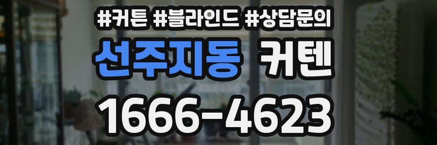 선주지동 커텐