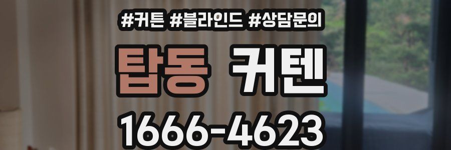 탑동 커텐