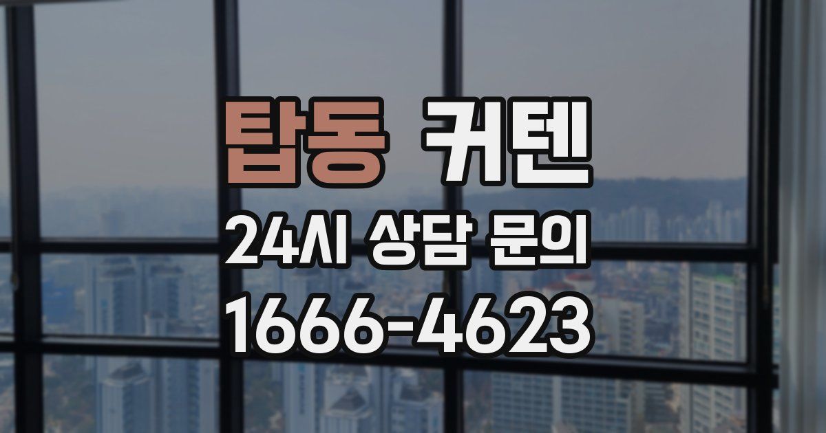탑동 커텐