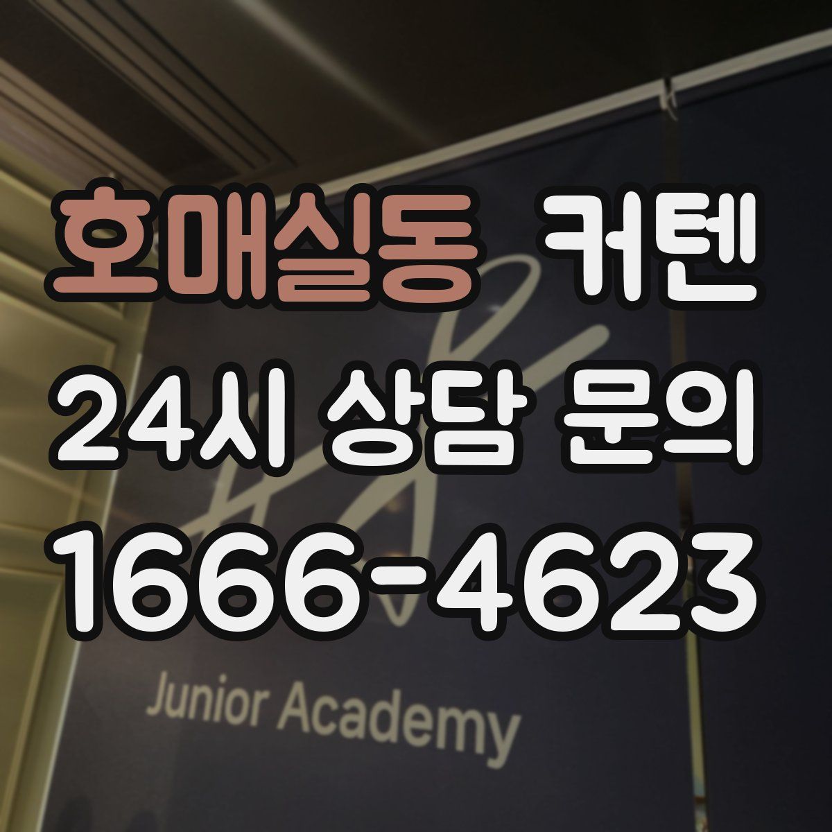 호매실동 커텐