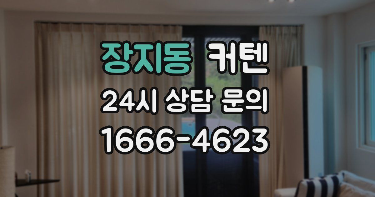 장지동 커텐