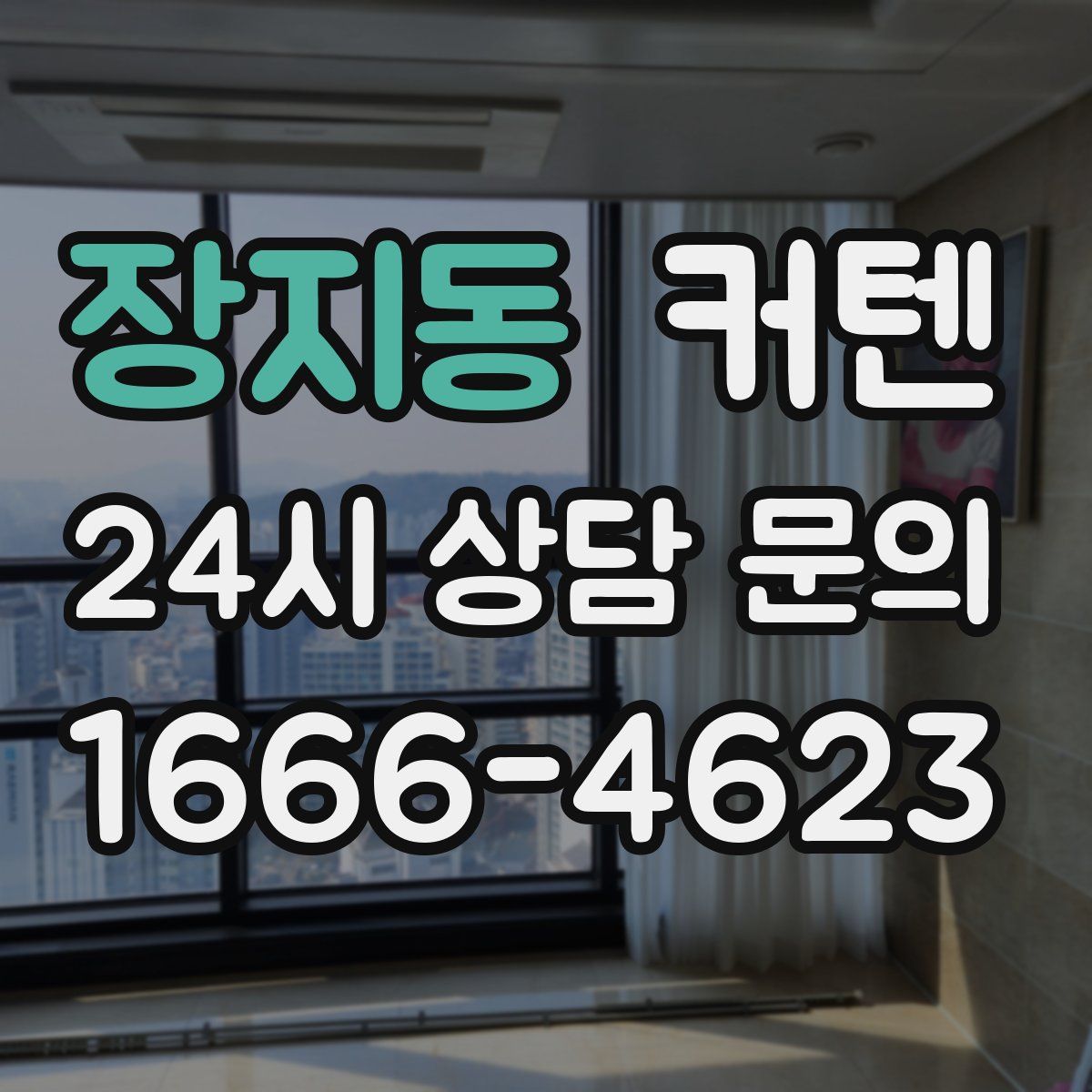 장지동 커텐