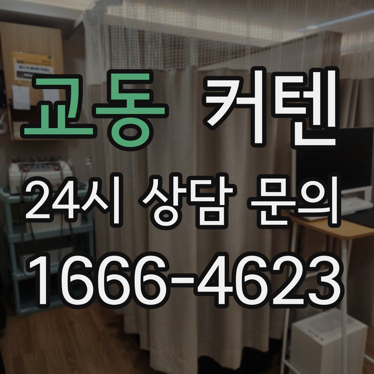교동 커텐