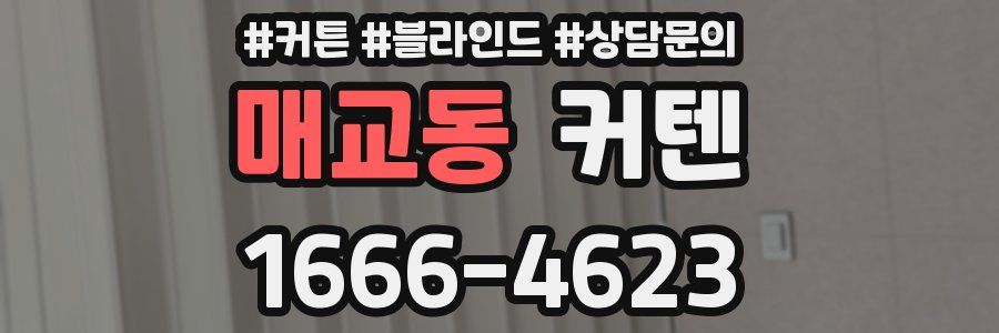 매교동 커텐