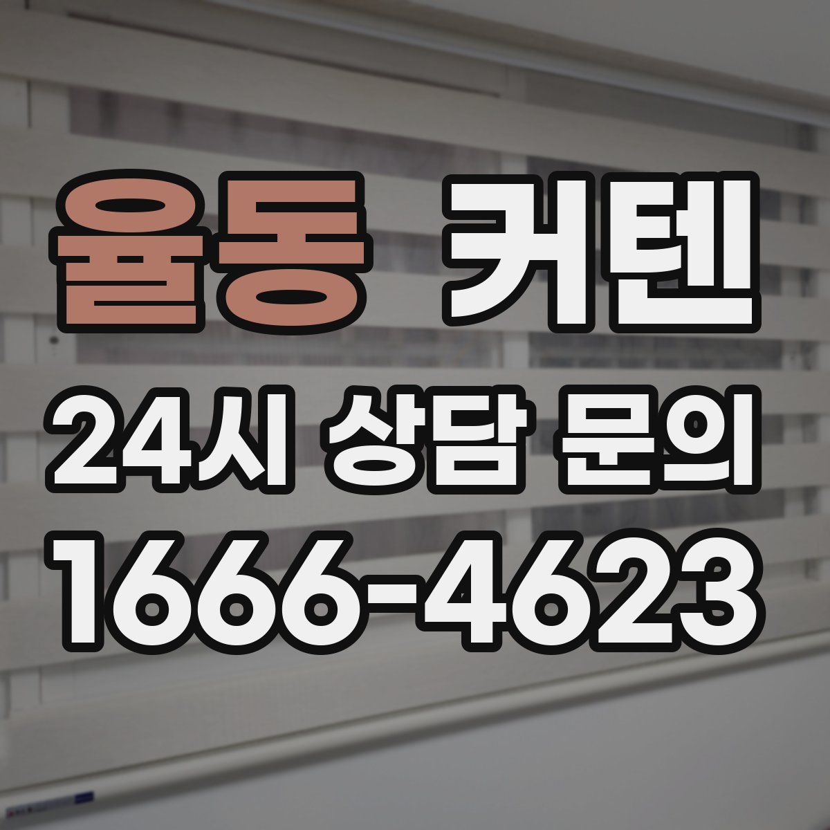율동 커텐