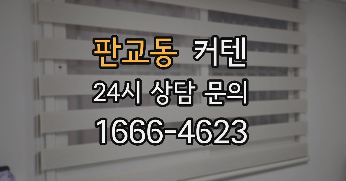 판교동 커텐