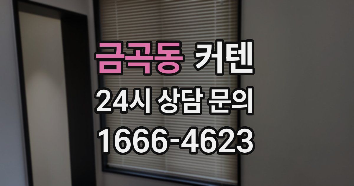 금곡동 커텐