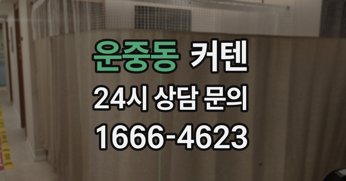 운중동 커텐