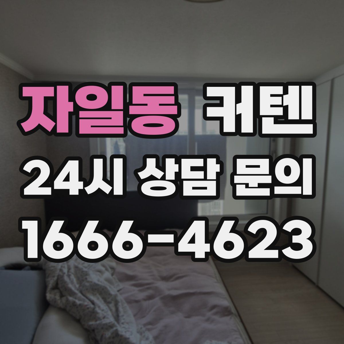 자일동 커텐