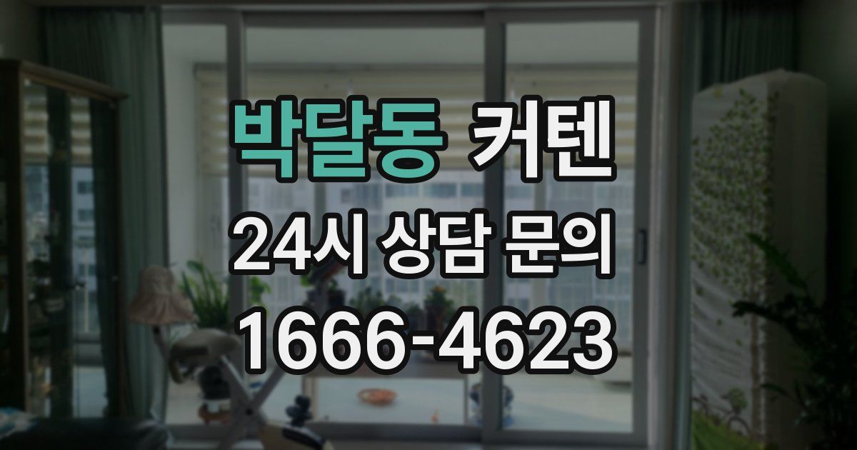 박달동 커텐