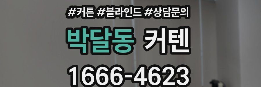 박달동 커텐