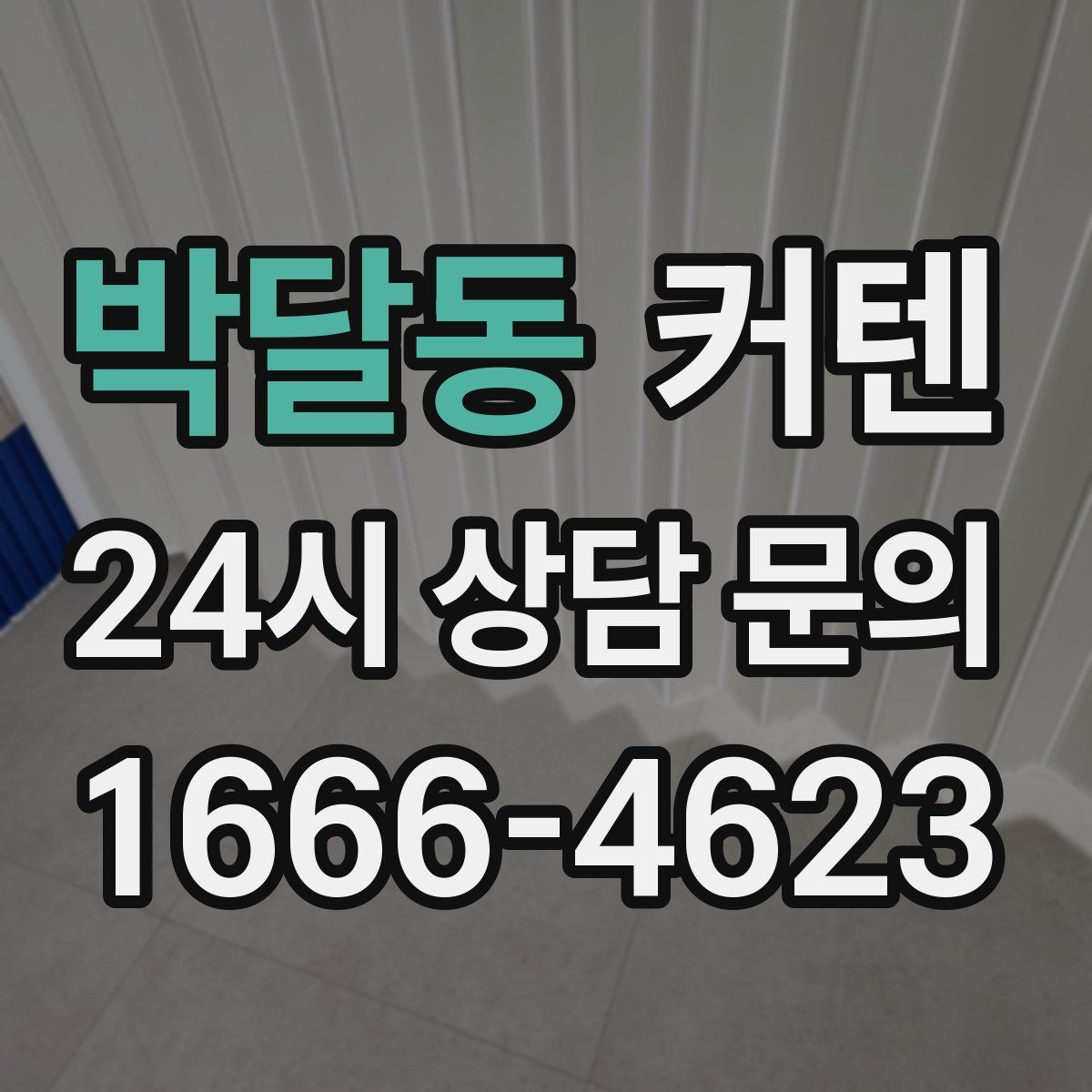 박달동 커텐