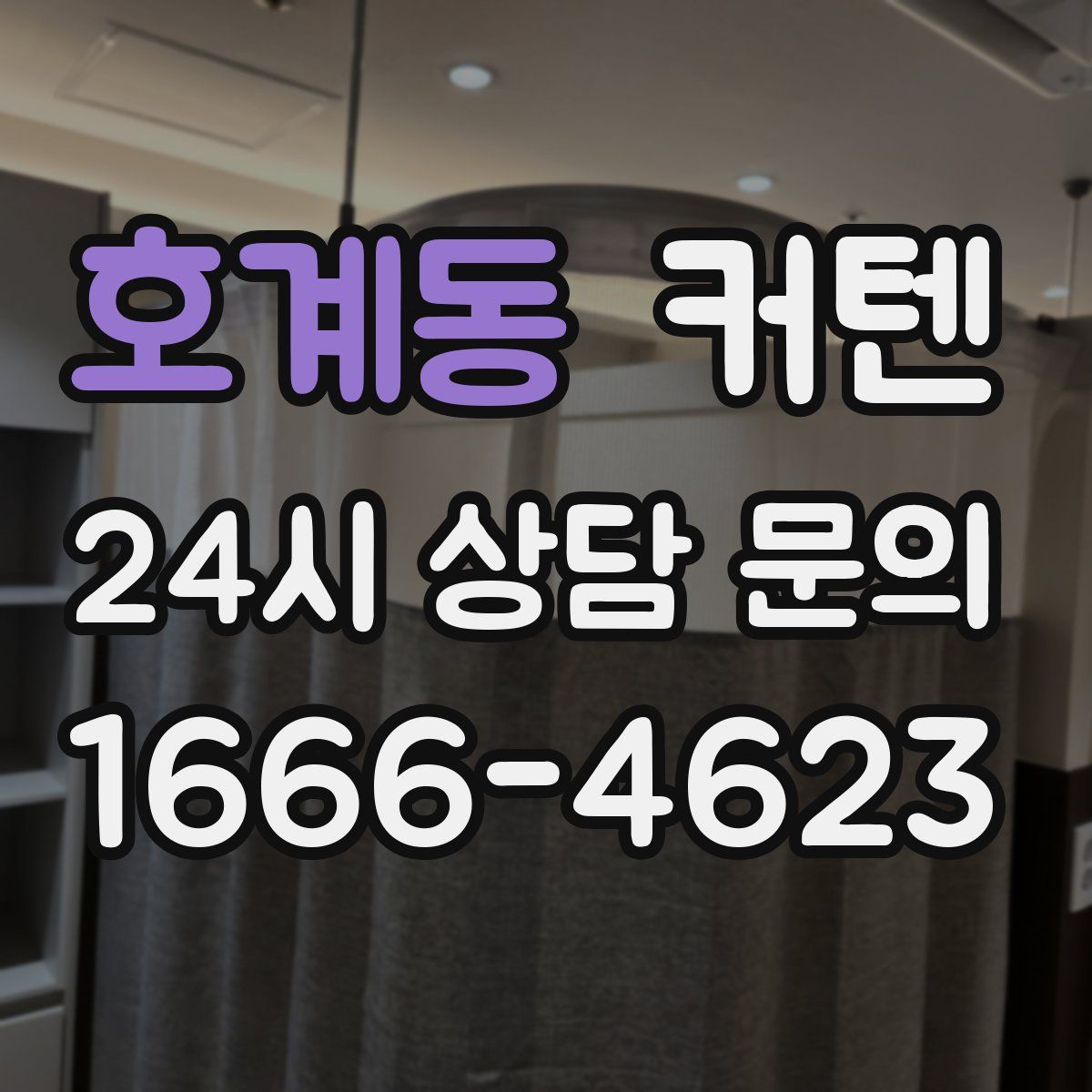 호계동 커텐