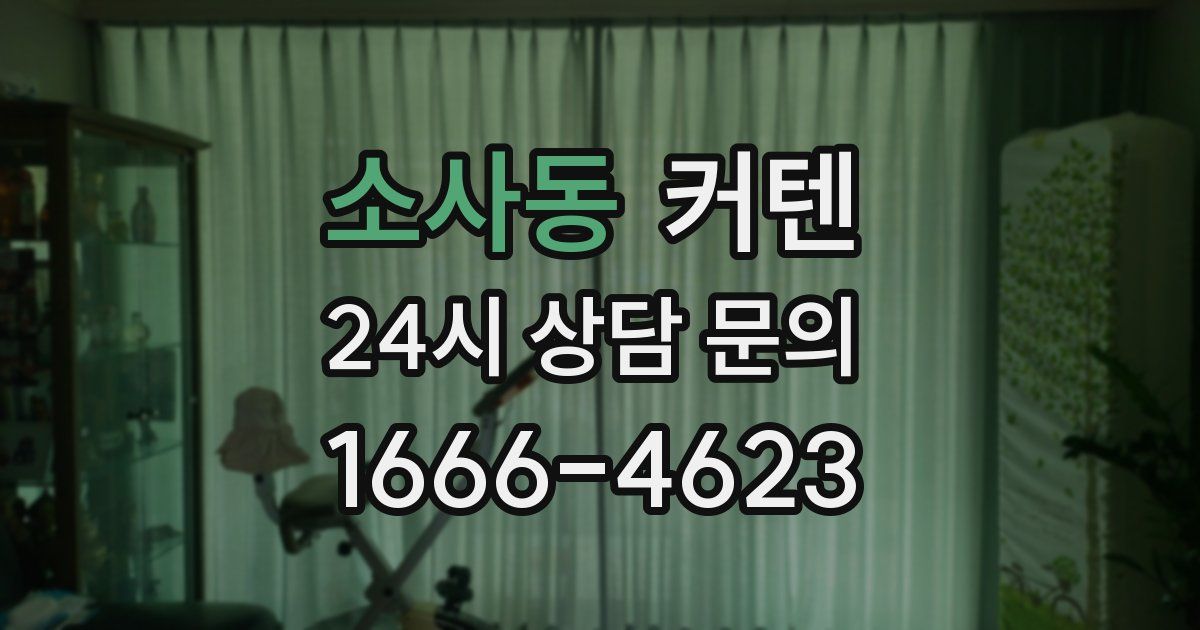 소사동 커텐