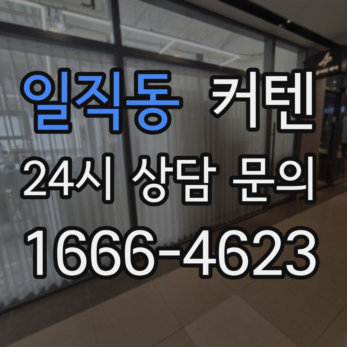 일직동 커텐