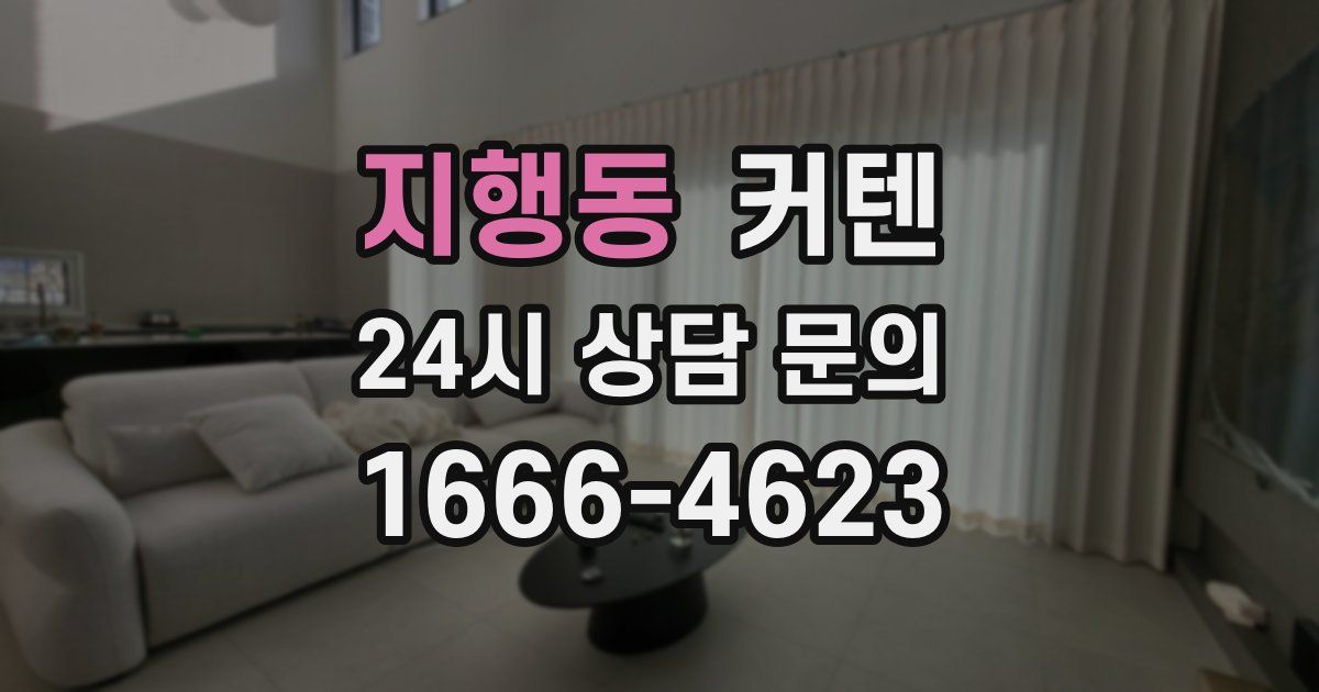 지행동 커텐